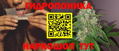 сатива Заводоуковск