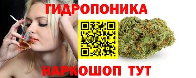 скорость Жуковский