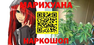 сатива Заводоуковск