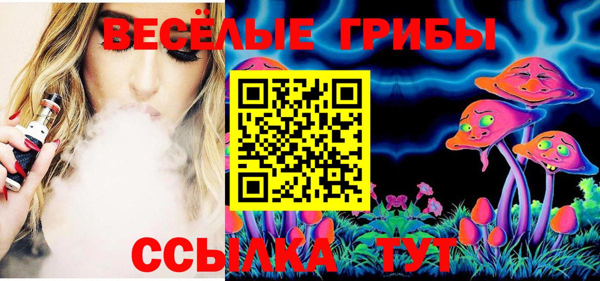 купить наркотик  Вход с VPN  Псилоцибиновые грибы мицелий  Гудермес  Галлюциногенные грибы Cubensis 