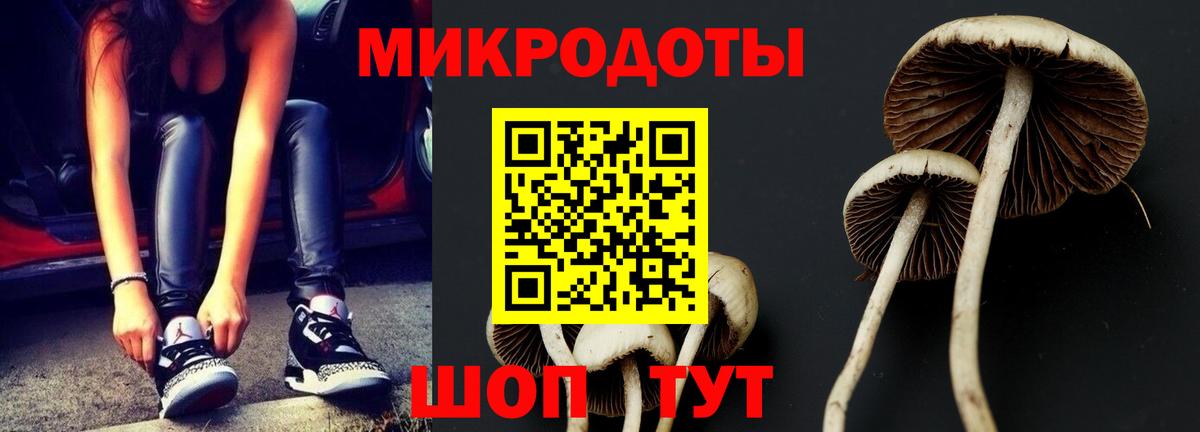 Псилоцибиновые грибы прущие грибы Гудермес